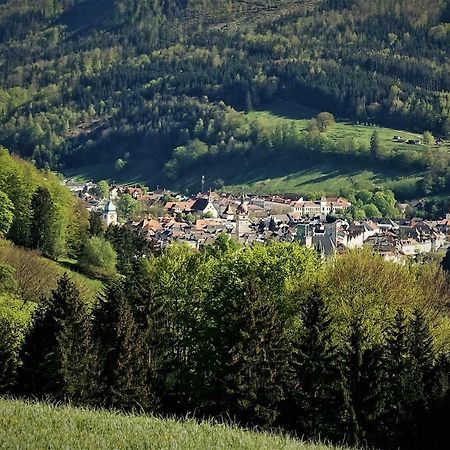 Appartement Kohlnberger Waidhofen an der Ybbs Kültér fotó