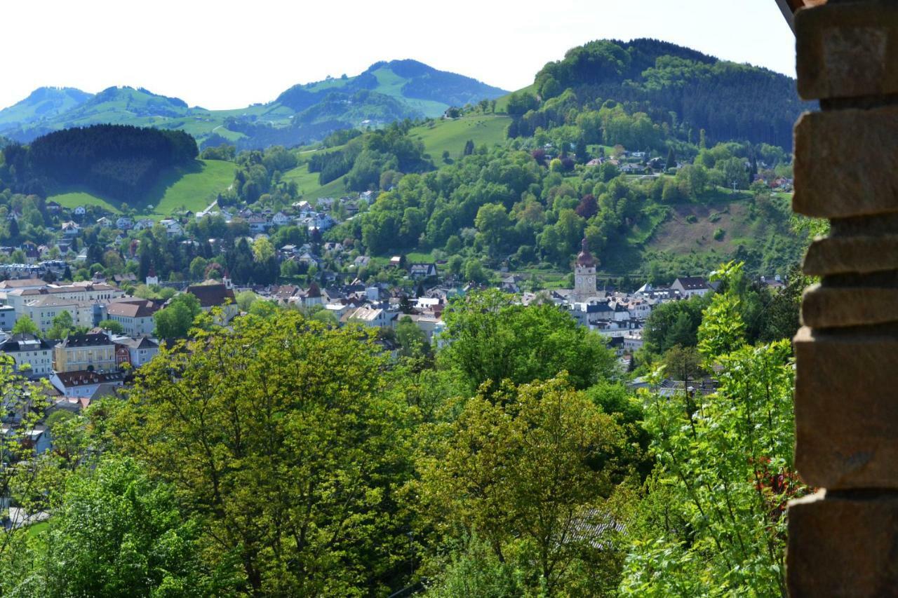 Appartement Kohlnberger Waidhofen an der Ybbs Kültér fotó