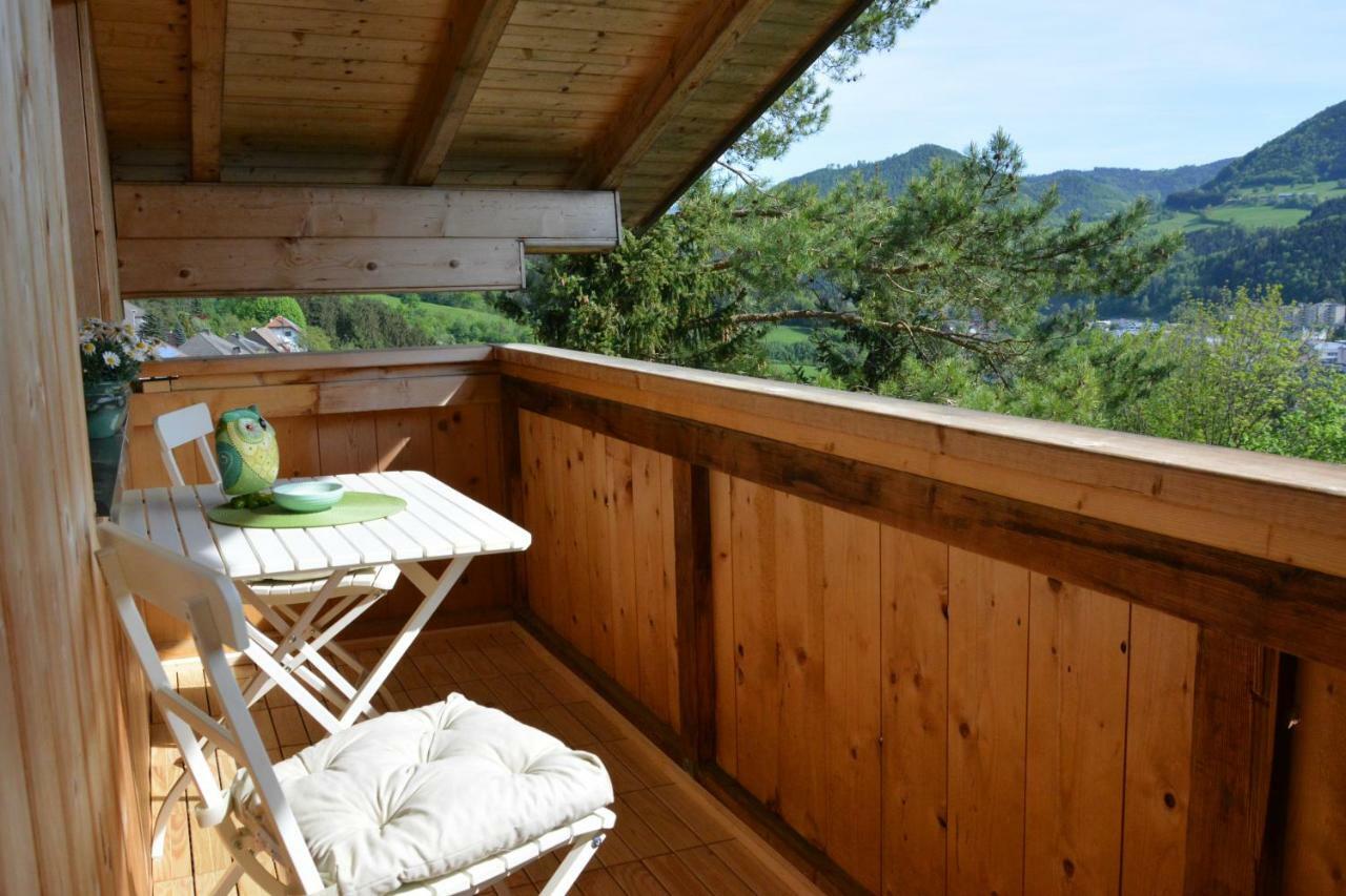 Appartement Kohlnberger Waidhofen an der Ybbs Kültér fotó