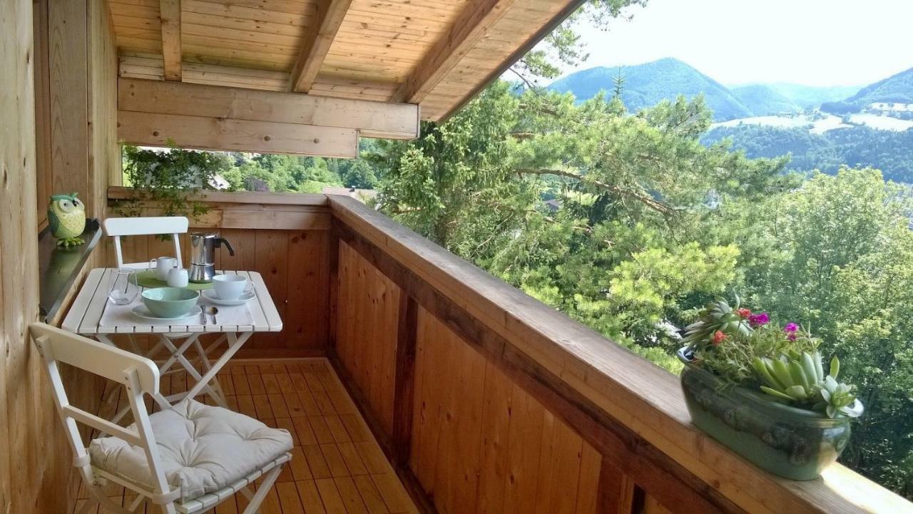 Appartement Kohlnberger Waidhofen an der Ybbs Kültér fotó