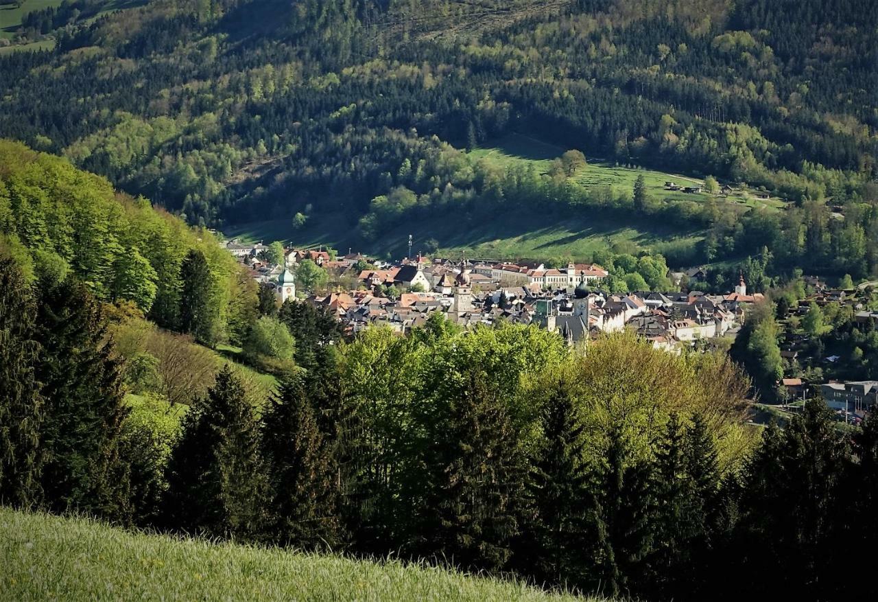 Appartement Kohlnberger Waidhofen an der Ybbs Kültér fotó