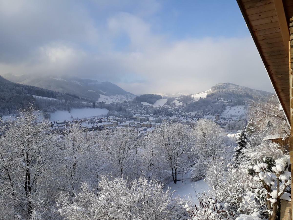 Appartement Kohlnberger Waidhofen an der Ybbs Kültér fotó
