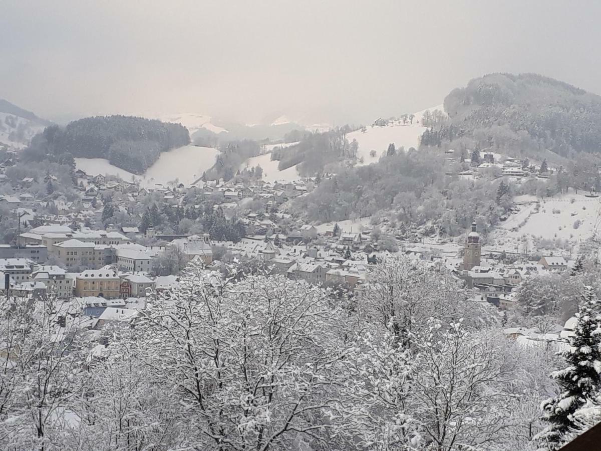 Appartement Kohlnberger Waidhofen an der Ybbs Kültér fotó